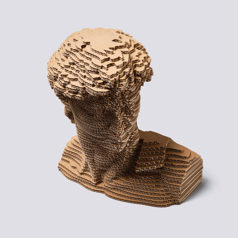 Busto in cartone - David Di Michelangelo - Medium