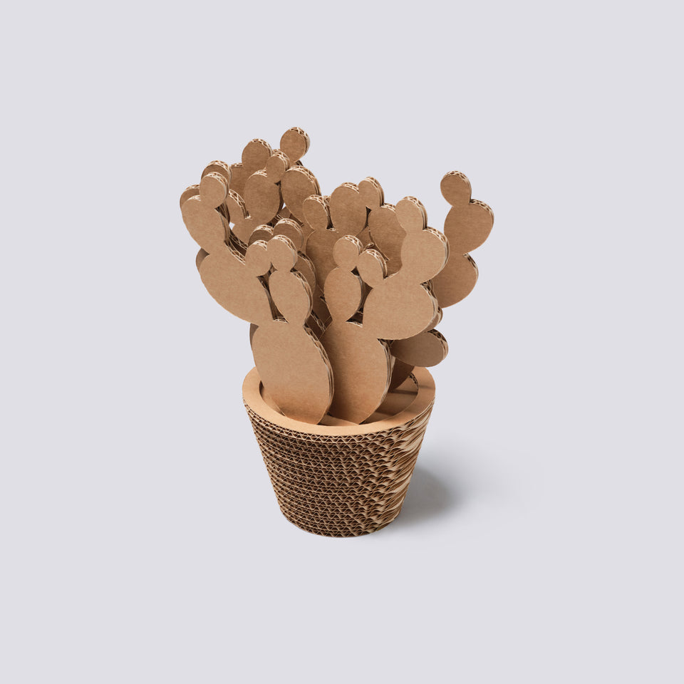 Vaso in cartone - Fico d'India - Small