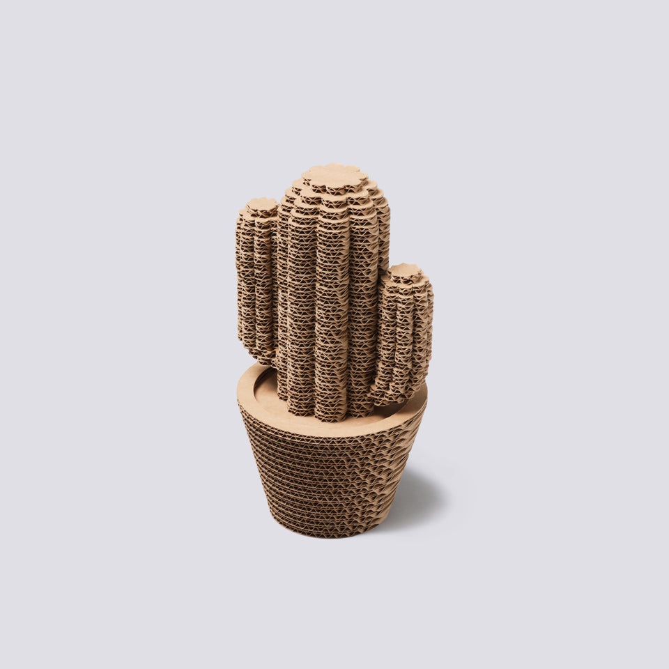 Vaso in cartone - Saguaro - Small