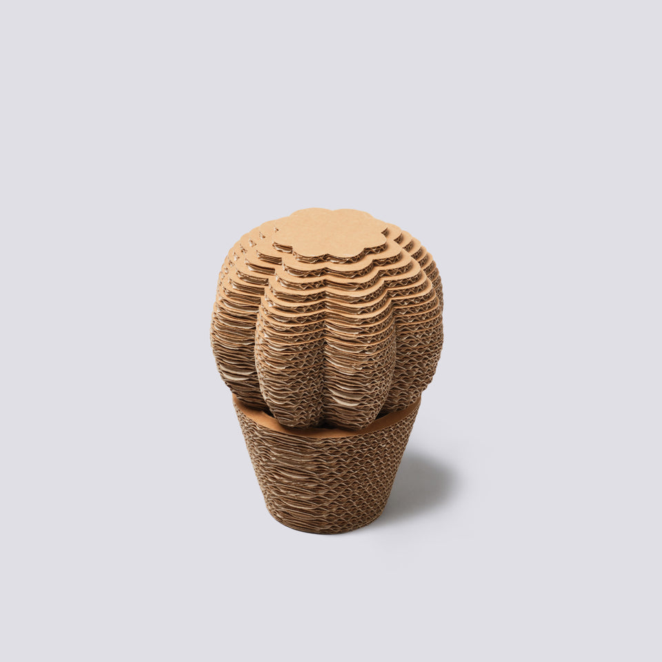 Vaso in cartone - Cuscino della Suocera - Small