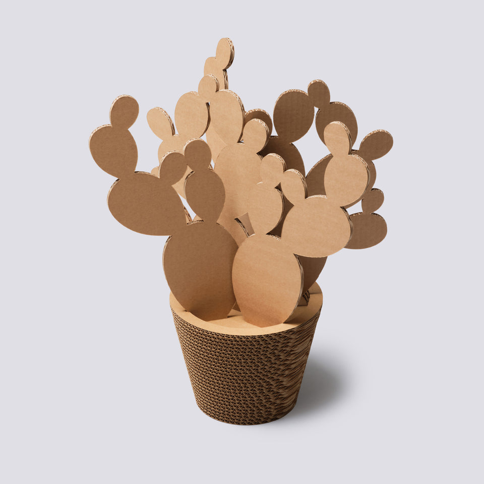 Vaso in cartone - Fico d'India - Medium