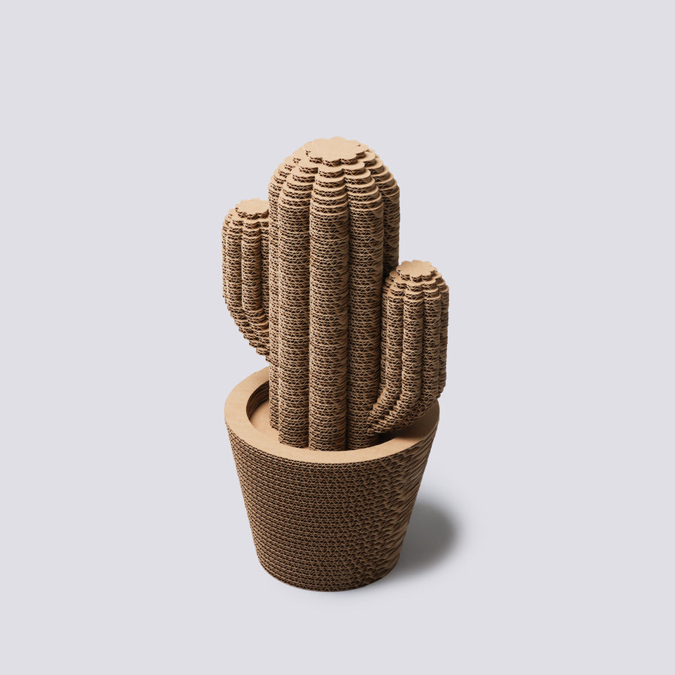 Vaso in cartone - Saguaro - Medium