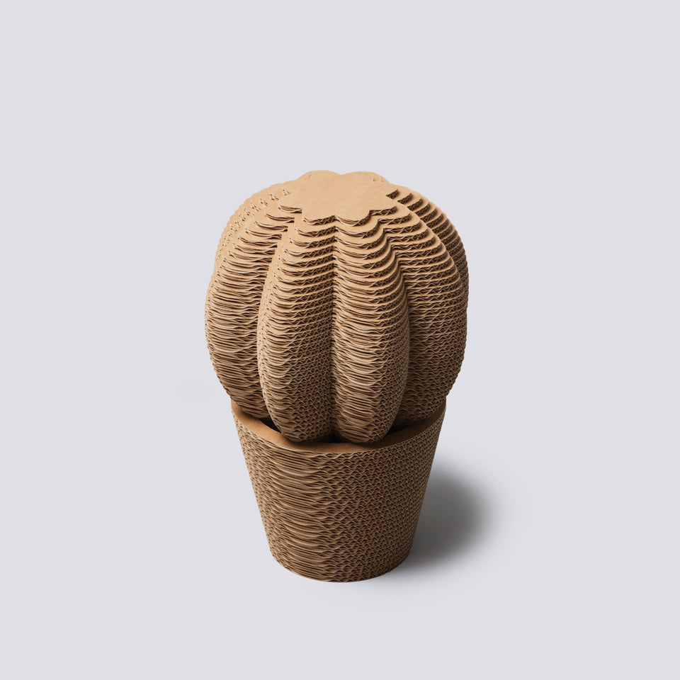 Vaso in cartone - Cuscino della Suocera - Medium