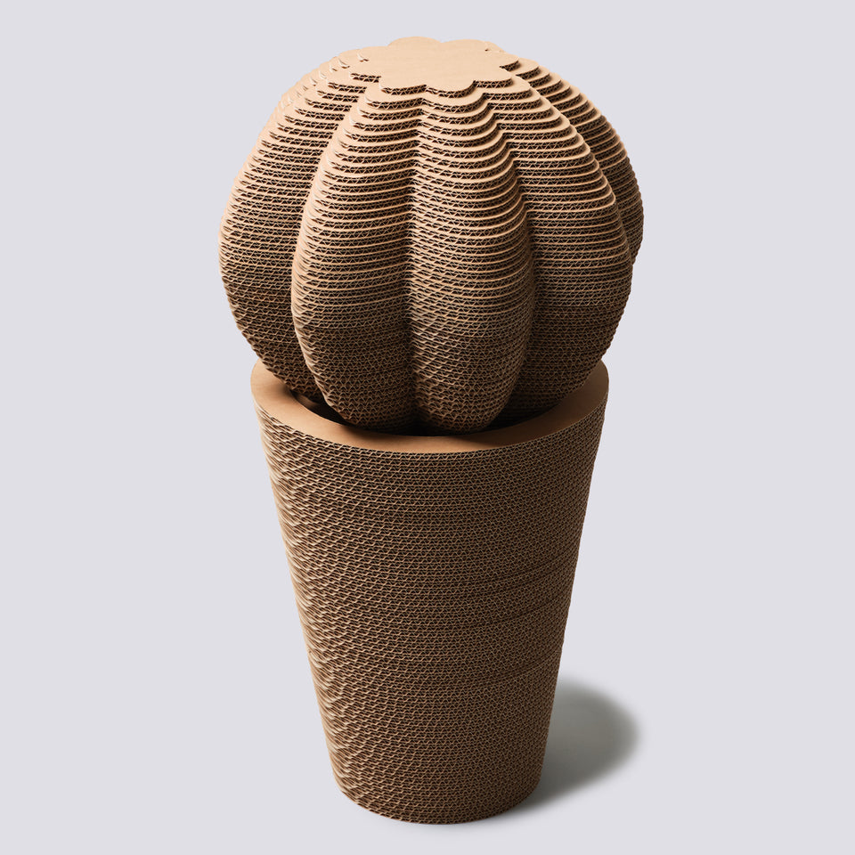 Vaso in cartone - Cuscino della Suocera - Extra Large