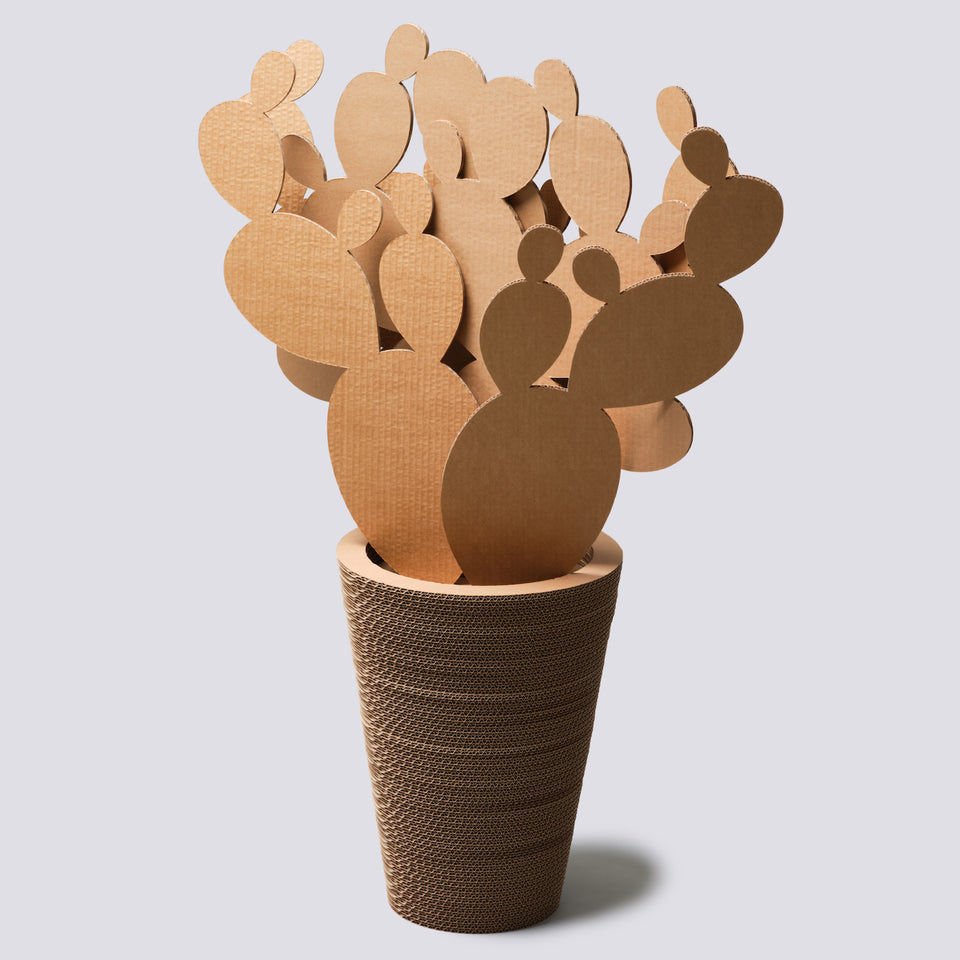 Vaso in cartone - Fico d'India - Extra Large